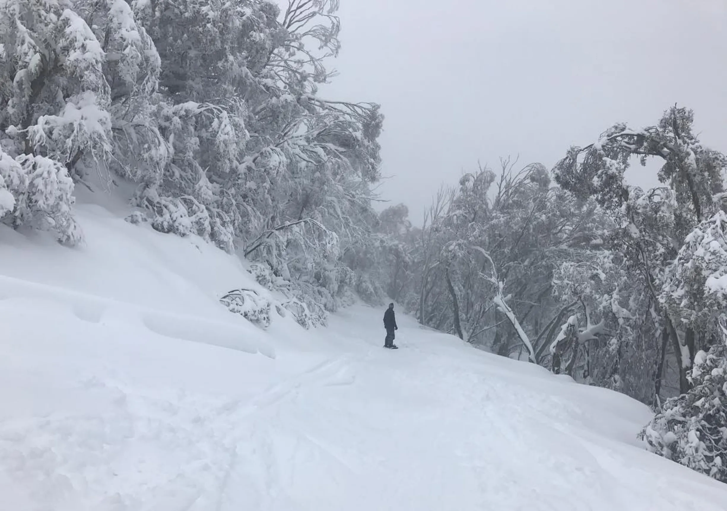 Unlike ski resorts