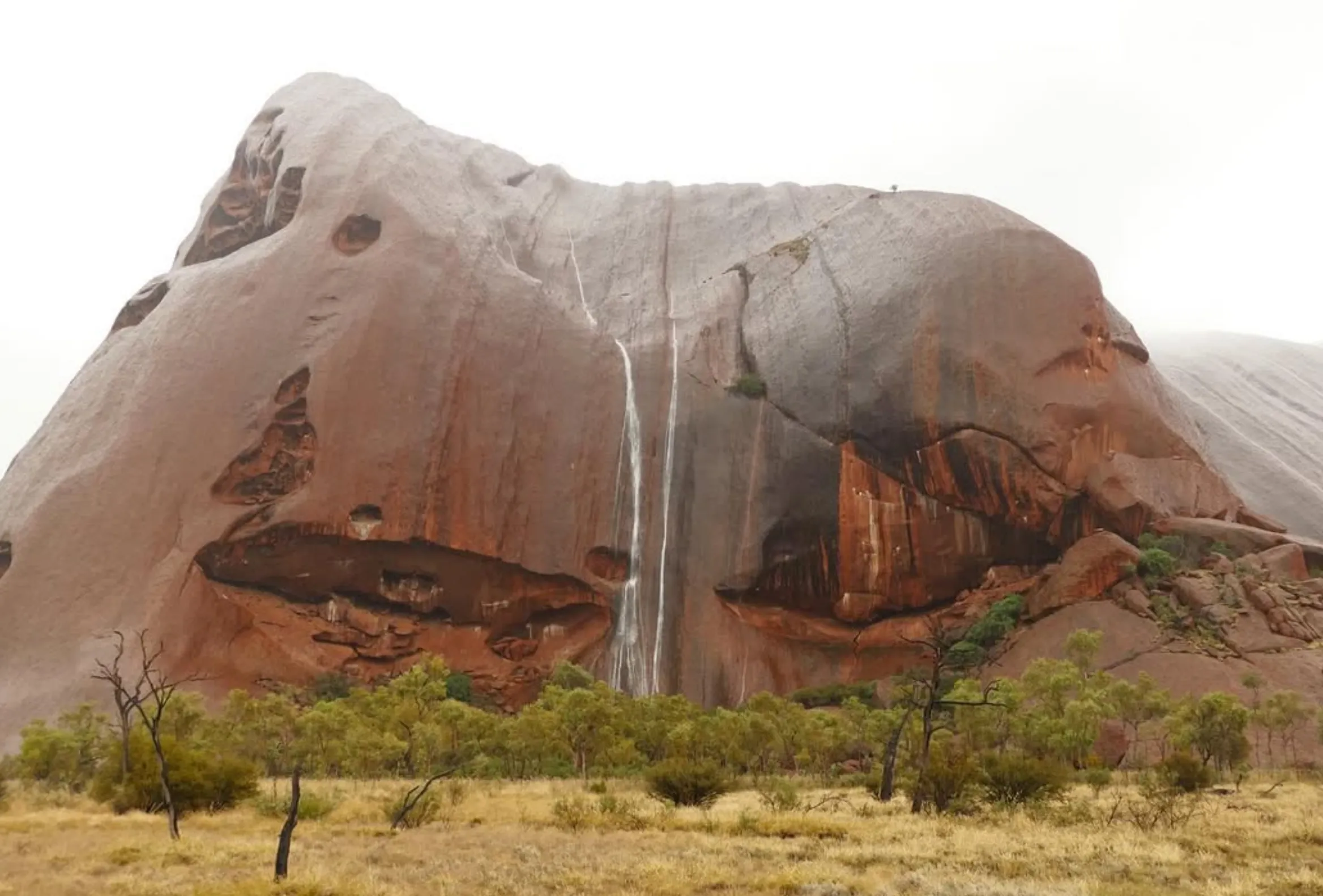cultural significance