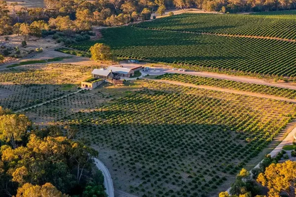 Can You Uber Between Wineries