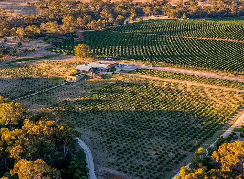Can You Uber Between Wineries