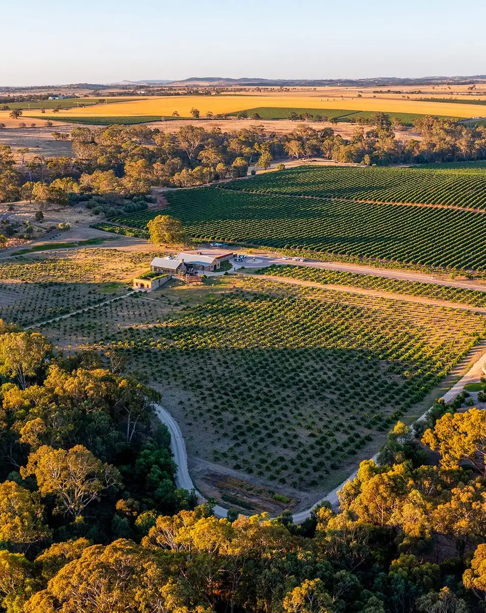 Can You Uber Between Wineries